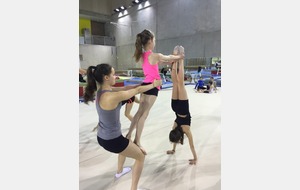 554b482ba91de_IMG0223.JPG